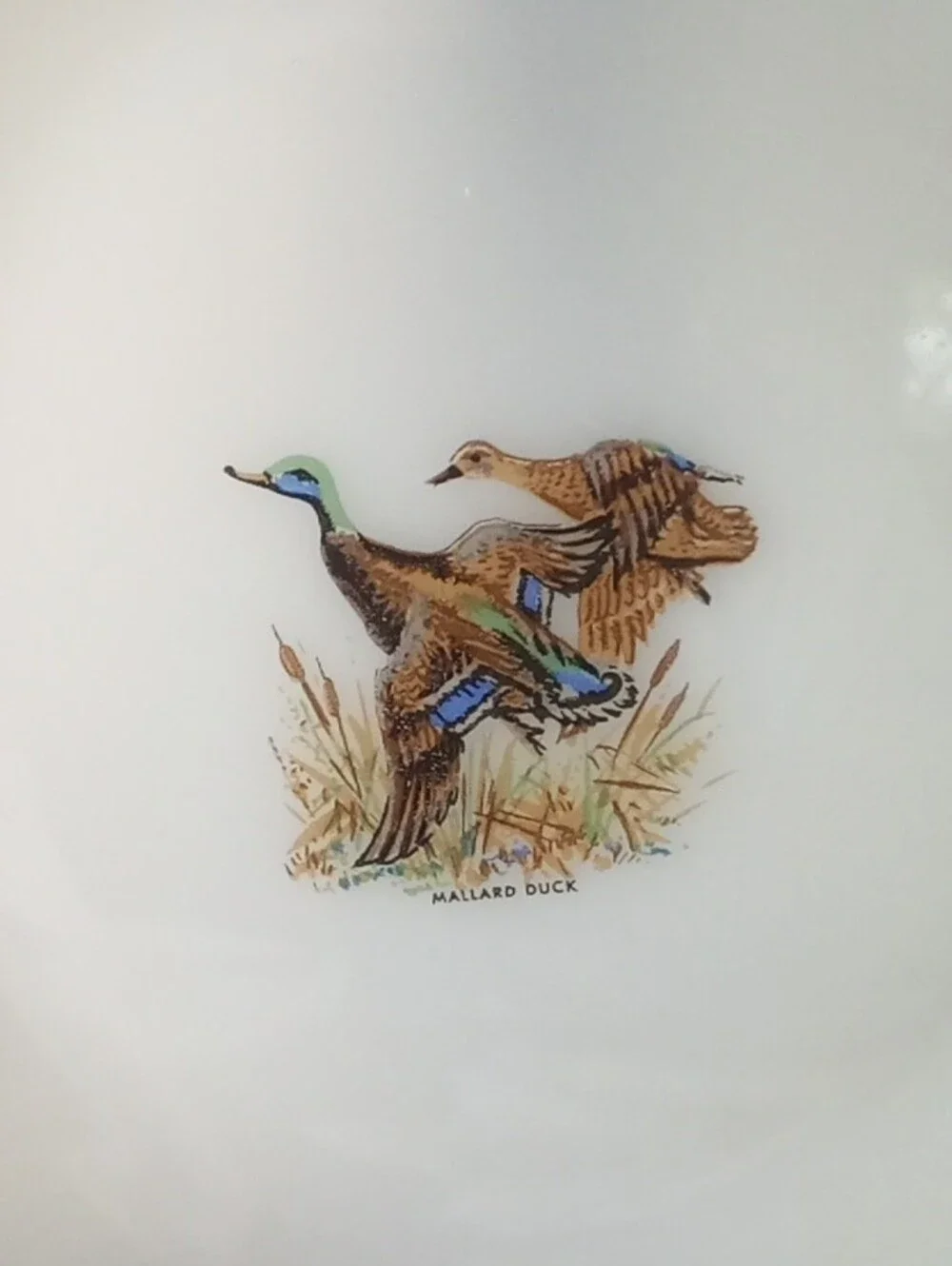 White Decorative Mallard  Duck Motif  Fire King Oven Proof